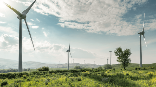Windpark auf einer Wiese unter blauem Himmel