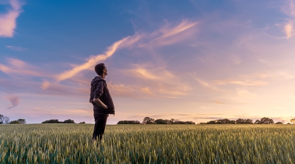 Mensch auf einer Wiese schaut hoffnungsvoll in den Sonnenuntergang