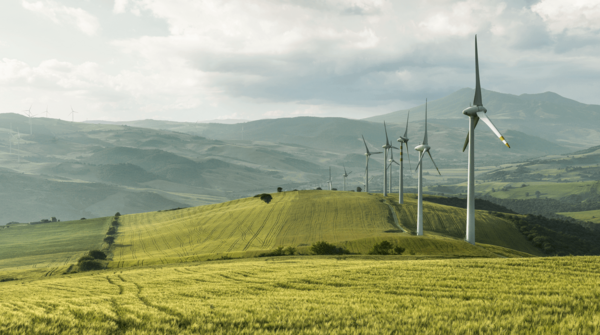 Windpark in der Natur